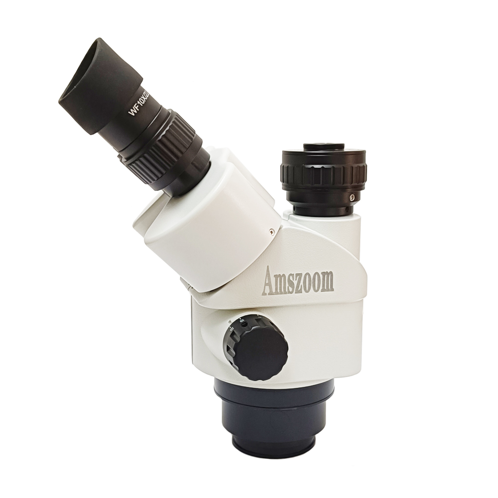 Cabeça de microscópio trinocul - Trinocular Stereo Microscope 7X-45X avaliação e preço
